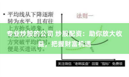 专业炒股的公司 炒股配资：助你放大收益，把握财富机遇