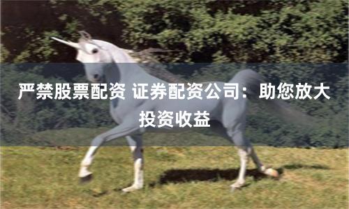 严禁股票配资 证券配资公司：助您放大投资收益