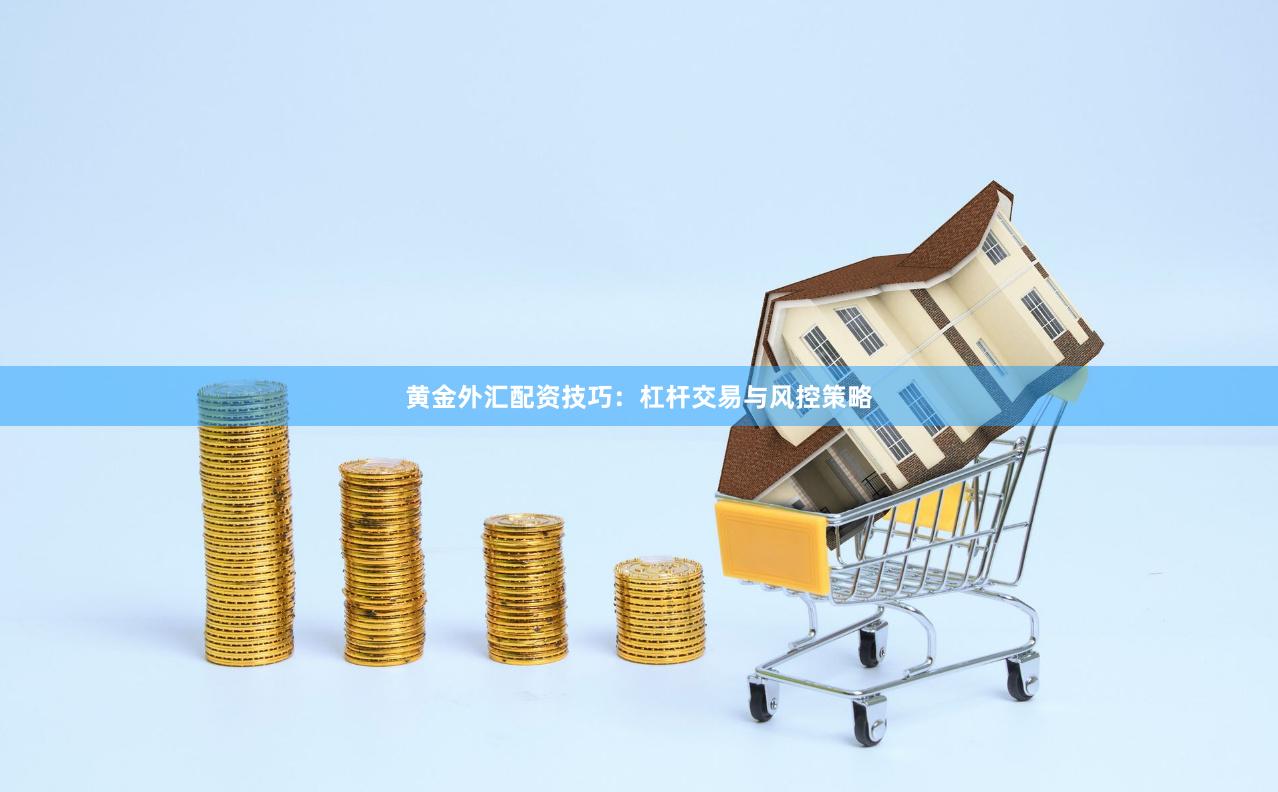 黄金外汇配资技巧：杠杆交易与风控策略